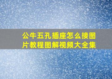 公牛五孔插座怎么接图片教程图解视频大全集