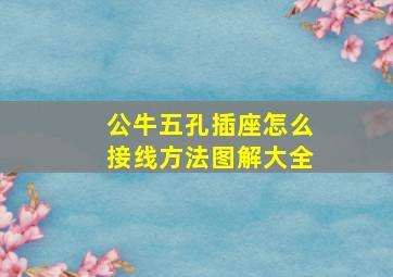 公牛五孔插座怎么接线方法图解大全