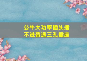 公牛大功率插头插不进普通三孔插座