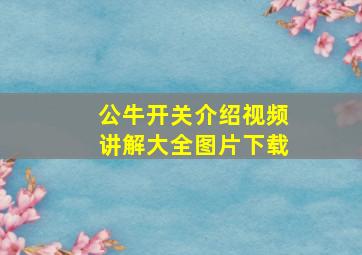 公牛开关介绍视频讲解大全图片下载