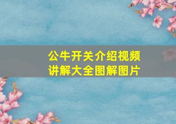 公牛开关介绍视频讲解大全图解图片