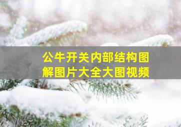 公牛开关内部结构图解图片大全大图视频