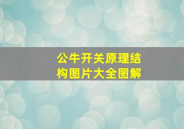 公牛开关原理结构图片大全图解