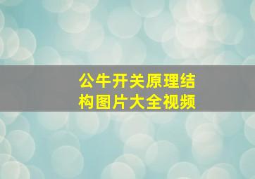 公牛开关原理结构图片大全视频