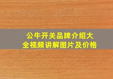 公牛开关品牌介绍大全视频讲解图片及价格