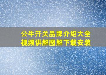 公牛开关品牌介绍大全视频讲解图解下载安装