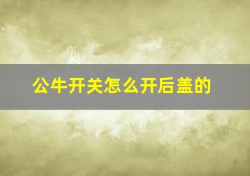 公牛开关怎么开后盖的