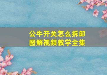 公牛开关怎么拆卸图解视频教学全集