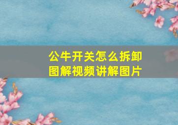 公牛开关怎么拆卸图解视频讲解图片