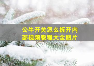 公牛开关怎么拆开内部视频教程大全图片