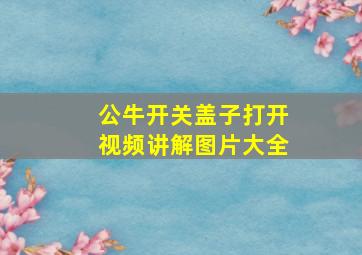 公牛开关盖子打开视频讲解图片大全