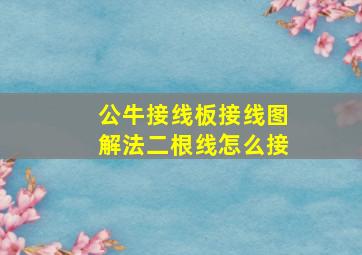 公牛接线板接线图解法二根线怎么接