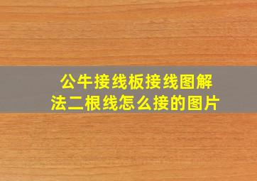 公牛接线板接线图解法二根线怎么接的图片