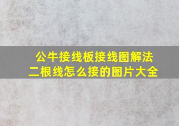 公牛接线板接线图解法二根线怎么接的图片大全