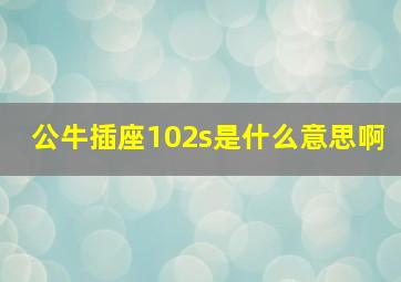 公牛插座102s是什么意思啊