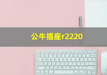 公牛插座r2220