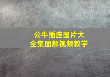 公牛插座图片大全集图解视频教学