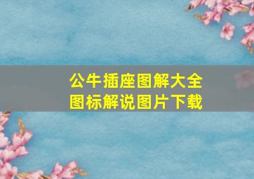 公牛插座图解大全图标解说图片下载