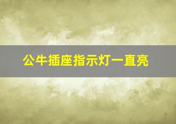 公牛插座指示灯一直亮