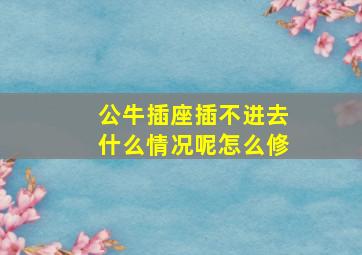 公牛插座插不进去什么情况呢怎么修