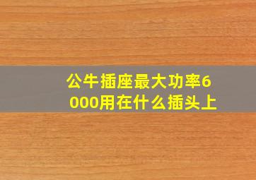 公牛插座最大功率6000用在什么插头上