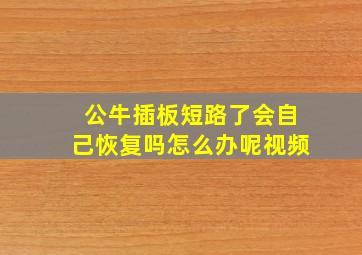 公牛插板短路了会自己恢复吗怎么办呢视频