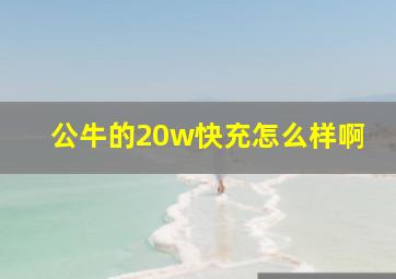 公牛的20w快充怎么样啊