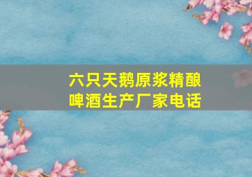 六只天鹅原浆精酿啤酒生产厂家电话