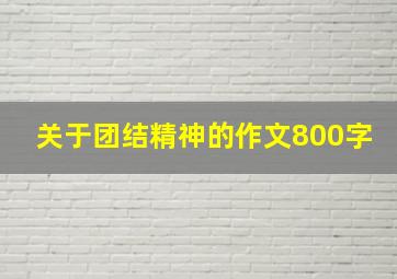 关于团结精神的作文800字