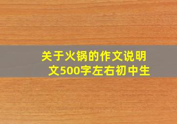 关于火锅的作文说明文500字左右初中生