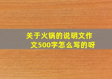 关于火锅的说明文作文500字怎么写的呀