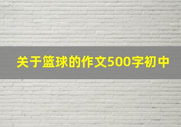 关于篮球的作文500字初中