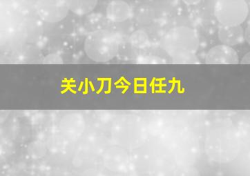 关小刀今日任九