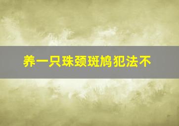 养一只珠颈斑鸠犯法不