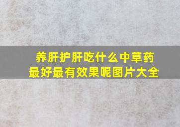 养肝护肝吃什么中草药最好最有效果呢图片大全