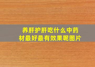 养肝护肝吃什么中药材最好最有效果呢图片