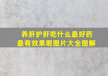 养肝护肝吃什么最好药最有效果呢图片大全图解