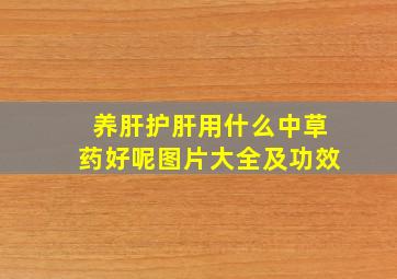 养肝护肝用什么中草药好呢图片大全及功效