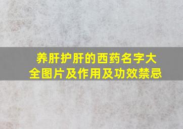 养肝护肝的西药名字大全图片及作用及功效禁忌