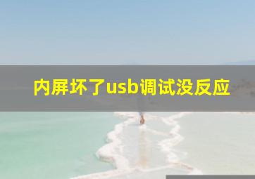 内屏坏了usb调试没反应