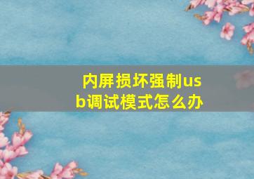 内屏损坏强制usb调试模式怎么办