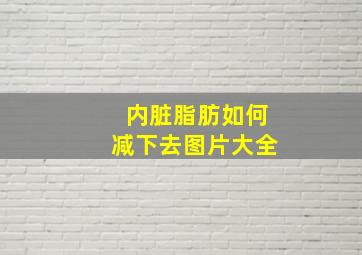 内脏脂肪如何减下去图片大全