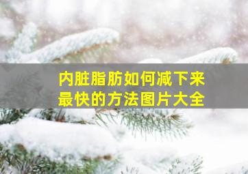 内脏脂肪如何减下来最快的方法图片大全