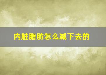 内脏脂肪怎么减下去的