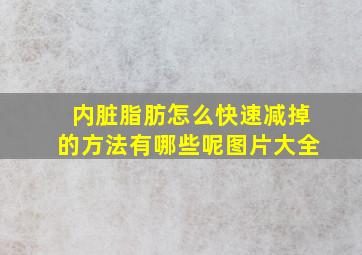 内脏脂肪怎么快速减掉的方法有哪些呢图片大全