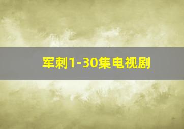 军刺1-30集电视剧