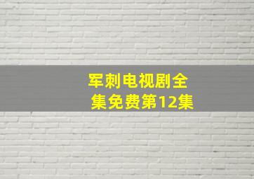 军刺电视剧全集免费第12集