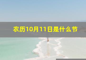 农历10月11日是什么节