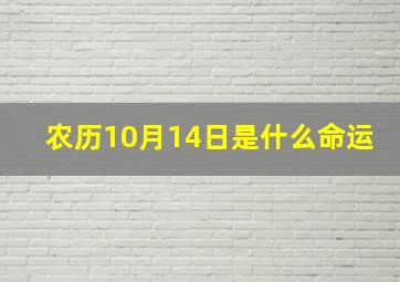 农历10月14日是什么命运