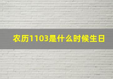 农历1103是什么时候生日